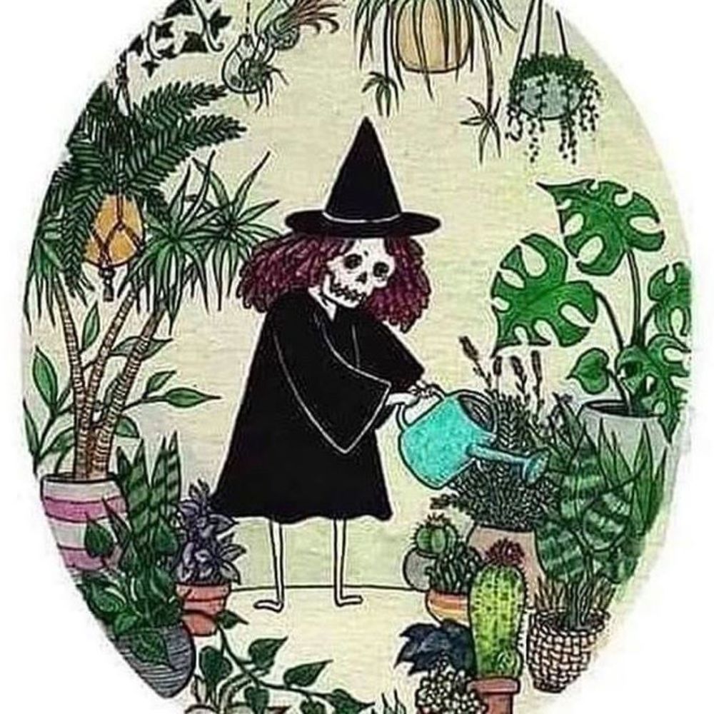 Meet your Posher, Raspberry